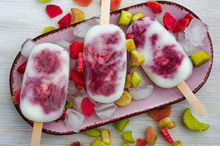 Fruit and yogurt popsicles. Yummy breakfast recipes kids will eat from Rising Star Academy in Gainesville, Fl